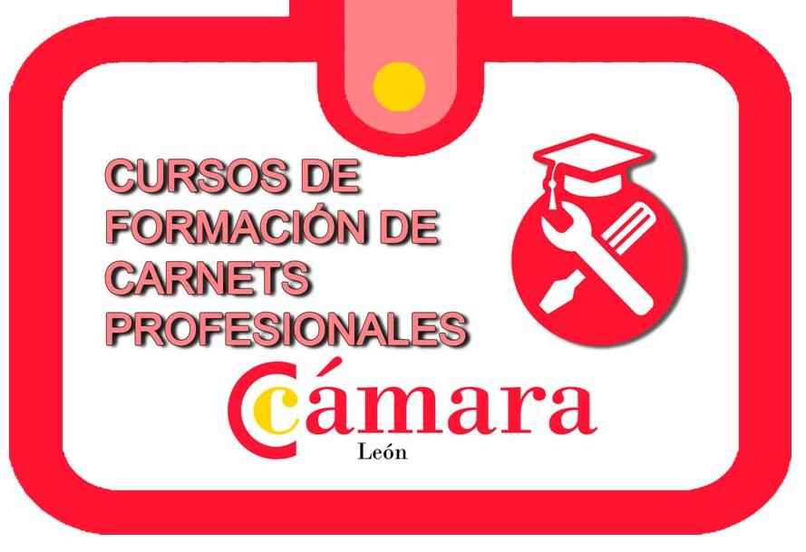 CARNE PRO