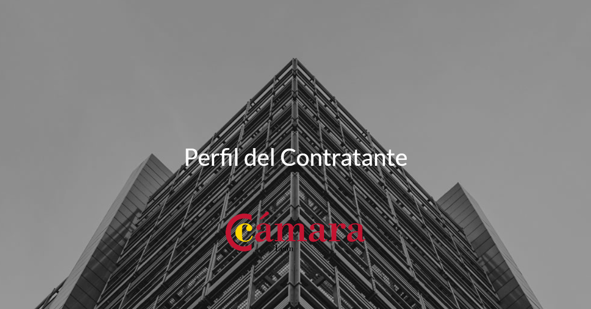 perfil contratante