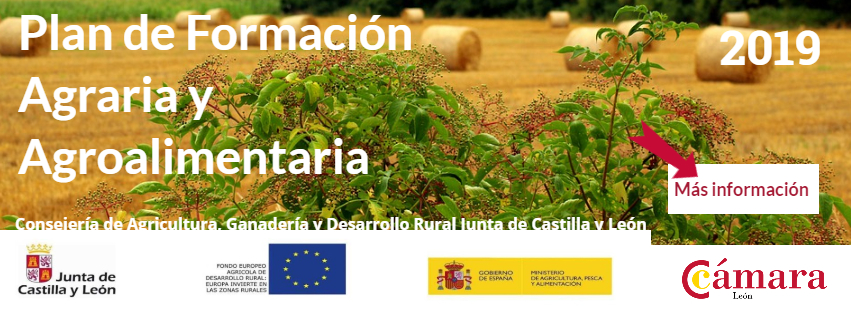 banner cursos agraria